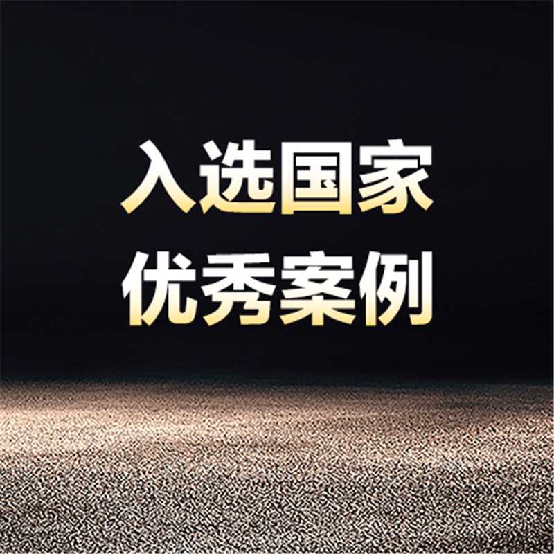 國家級優(yōu)秀！比亞迪DMS入選工信部2024年新型數(shù)字服務優(yōu)秀案例